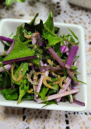 赤みず菜とカリカリジャコの麻辣おつまみ-レシピのメイン写真