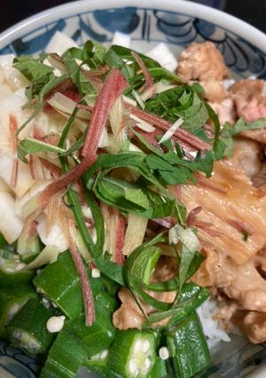 薬味ネバネバ丼-レシピのメイン写真