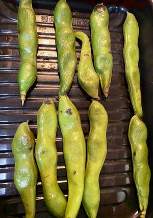 そら豆　素焼き-レシピのメイン写真