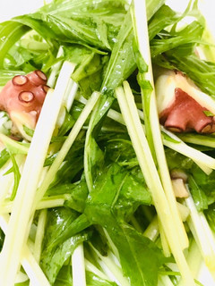 超簡単ドレッシングで!タコと水菜のサラダ-レシピのメイン写真
