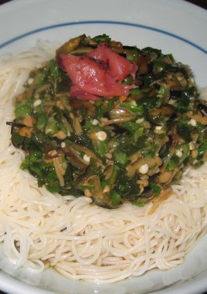夏野菜のパワフルぶっかけそうめん♪-レシピのメイン写真