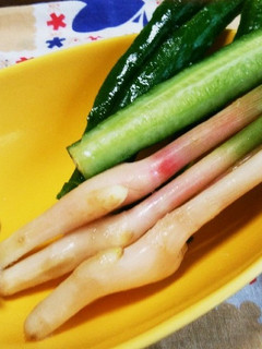今が旬♡の野菜スティック♪-レシピのメイン写真