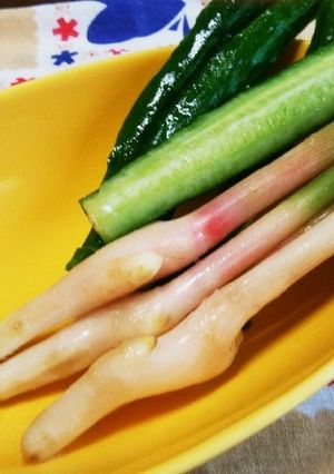 今が旬♡の野菜スティック♪-レシピのメイン写真