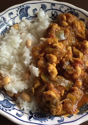 スパイスカレーの素-レシピのメイン写真