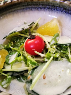 豆苗のごま風味サラダ-レシピのメイン写真