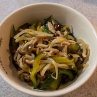 基本からアレンジまで！思わずつくりたくなる「もやし キュウリ シメジ