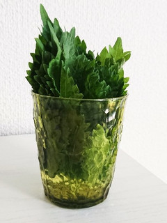 おおばの保存法-レシピのメイン写真