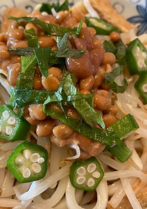 冷やしぶっかけうどん☆納豆のせ-レシピのメイン写真