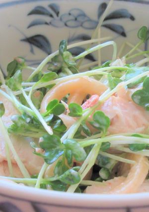 鶏むね肉ときゅうりの梅マヨサラダうどん-レシピのメイン写真