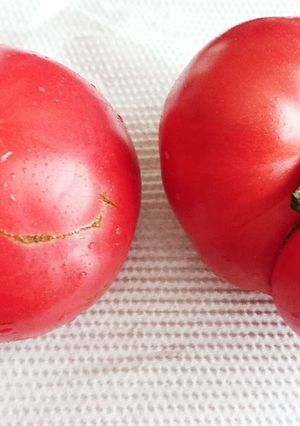 見た目より真っ赤なトマトが美味しいよ！-レシピのメイン写真