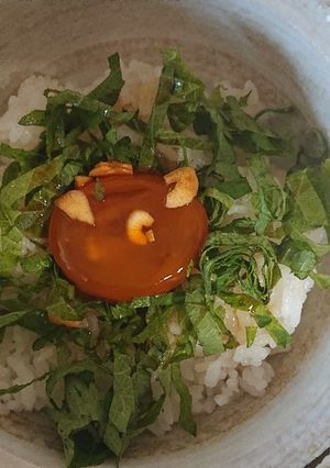 ニンニク醤油漬け卵丼-レシピのメイン写真