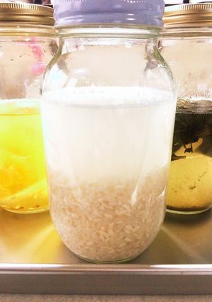 酒種酵母　（米麹）-レシピのメイン写真