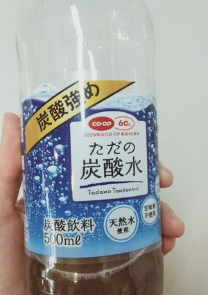 ペットボトルで簡単レーズン酵母＊酵母液-レシピのメイン写真