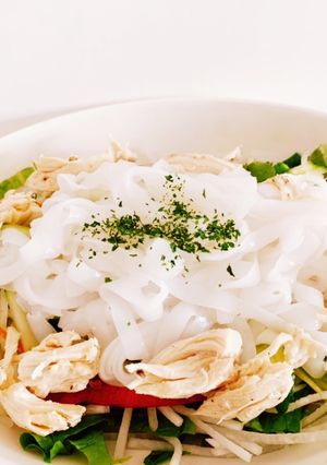 こんにゃく麺サラダ-レシピのメイン写真