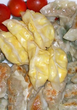 変わり種餃子-レシピのメイン写真