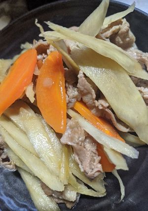 メインの一皿になる！肉入りきんぴら-レシピのメイン写真