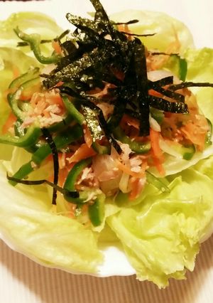 無限ピーマン野菜もりもりサラダアレンジ-レシピのメイン写真
