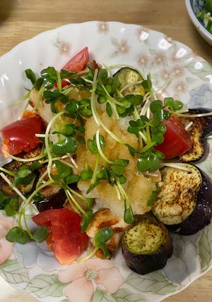 鶏肉となすびのさっぱりみぞれポン酢-レシピのメイン写真