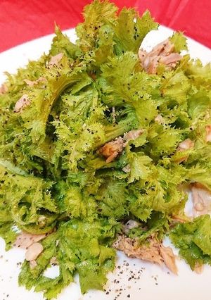 わさび菜とツナの簡単サラダ～昆布だし和え-レシピのメイン写真