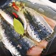 イワシのオイル煮(ジップロック利用)