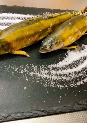 鮎の塩焼き　魚焼きグリル大活躍★！串なし-レシピのメイン写真