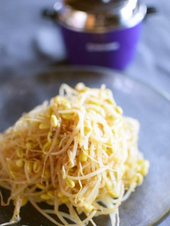 【電鍋レシピ】すぐ出来る!豆もやしナムル-レシピのメイン写真
