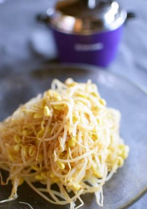 【電鍋レシピ】すぐ出来る！豆もやしナムル-レシピのメイン写真