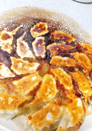餃子好き家族のための定番餃子-レシピのメイン写真