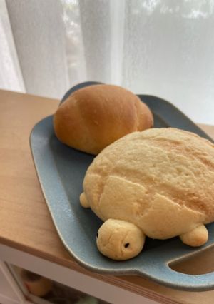 HBで簡単♪天然酵母のカメロンパン-レシピのメイン写真