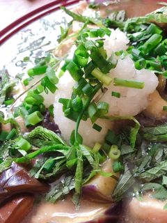 鶏肉とナスのヘルシーみぞれ煮-レシピのメイン写真