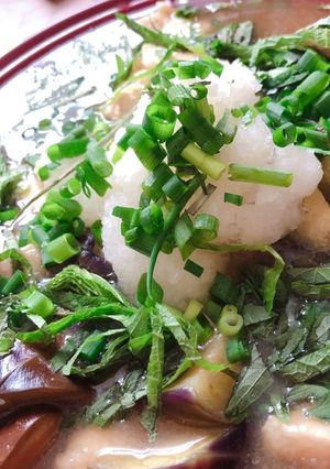 鶏肉とナスのヘルシーみぞれ煮-レシピのメイン写真