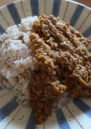 有機スパイスの簡単キーマカレー-レシピのメイン写真