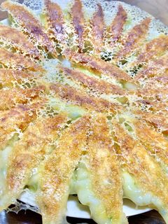 美味しい!肉無し野菜たっぷりギョウザ!-レシピのメイン写真