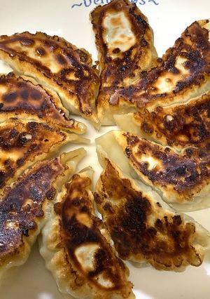 手作り餃子-レシピのメイン写真