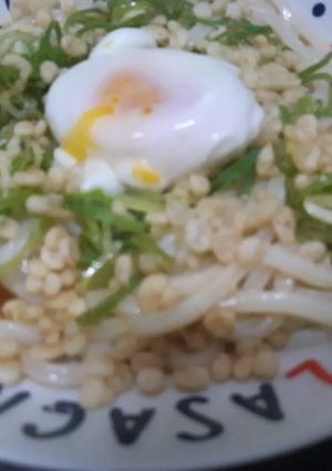 レンジで簡単冷やしうどん‼️-レシピのメイン写真