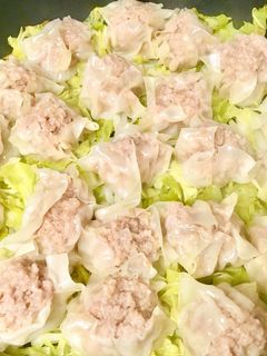 世界一簡単!手汚れず!本格フライパン焼売-レシピのメイン写真