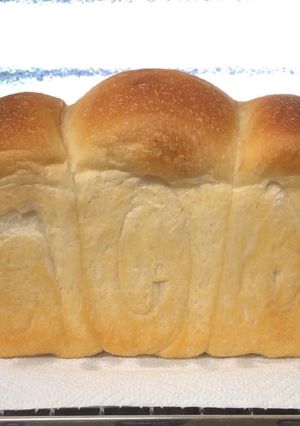 ノンオイル蜂蜜食パン(自家製酵母)-レシピのメイン写真