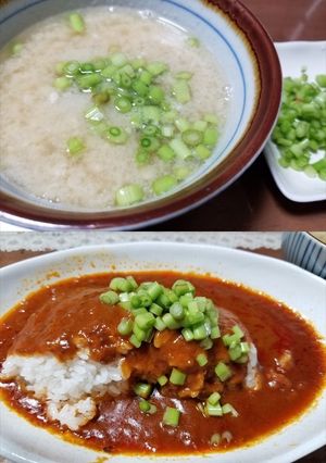 野生の伸びたミツバの利用です-レシピのメイン写真