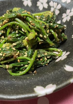 ハリギリの下処理＆胡麻味噌和え-レシピのメイン写真