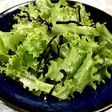 簡単♫レタスと塩っぺのナムル