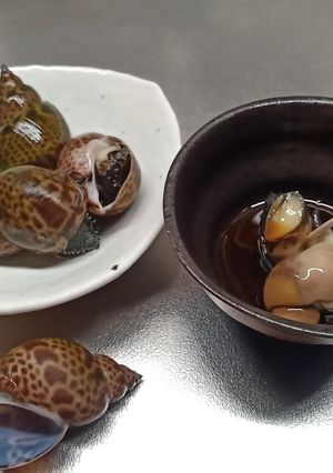 バイ貝を茹でたの。-レシピのメイン写真