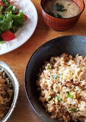 お昼ごはん！玉子炒飯-レシピのメイン写真