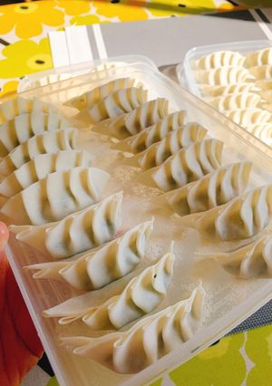 我が家の餃子-レシピのメイン写真