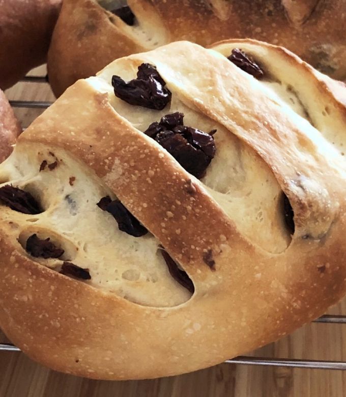 レーズンパン ハード系 6個 by クックパンプキンノア 【クックパッド