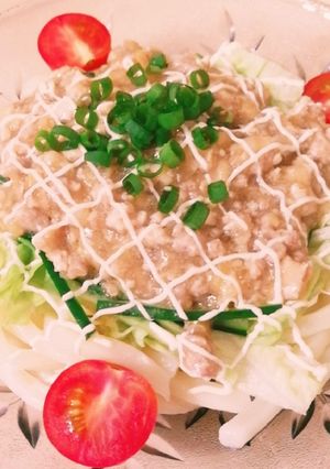 肉味噌あんのサラダうどん-レシピのメイン写真