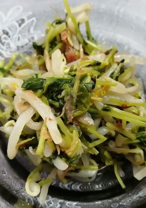 白だしでシンプル！もやしと豆苗の鰹節和え-レシピのメイン写真