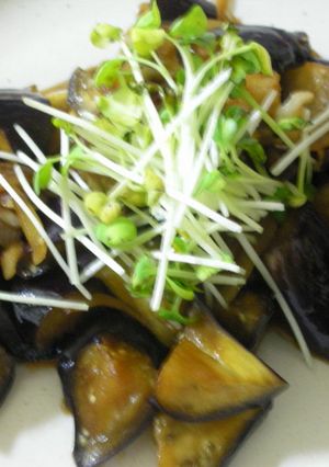 材料はナスだけ！ナスの簡単甘辛炒め♪-レシピのメイン写真