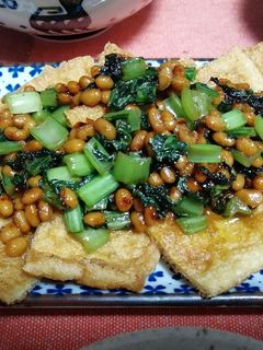 カリカリ油揚げの炒め納豆がけ-レシピのメイン写真