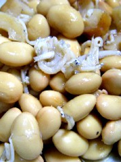 おふくろの味♪じゃこ豆-レシピのメイン写真