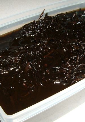 ひじきの薄味煮-レシピのメイン写真